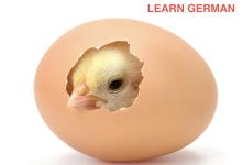 This is your brain on German German Studies Calendar