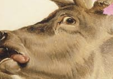 What is Trans Literature? Narrative Form and Trans Embodiment