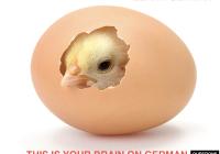 German Studies Calendar