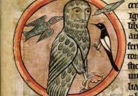 owl from medieval bestiary