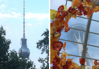 Zoom on Over to Germany- Ich bin ein (Virtual) Berliner 