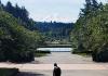 Solitary man walks towards Drumheller Fountain, UW Seattle Campus