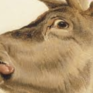 What is Trans Literature? Narrative Form and Trans Embodiment